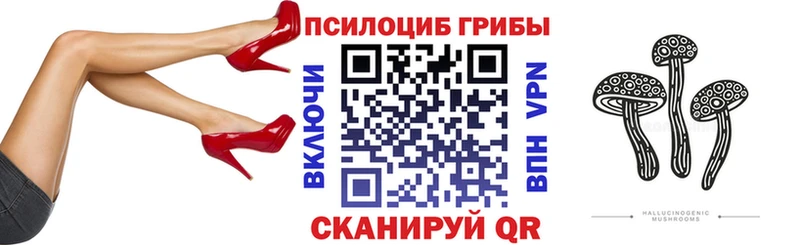 kraken ТОР где найти наркотики Кадников Галлюциногенные грибы прущие грибы