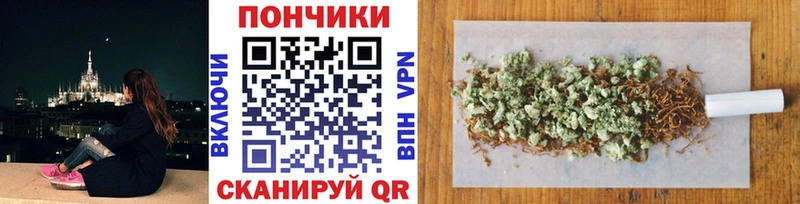 Бошки Шишки сатива  Кадников 